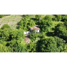 Голям парцел със стара къща, с. Радево